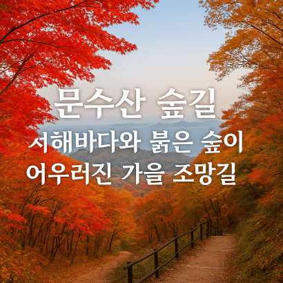 [명품숲길 50선 가을단풍 산행 ④] 문수산 숲길 : 서해바다와 붉은 숲이 어우러진 가을 트레킹코스