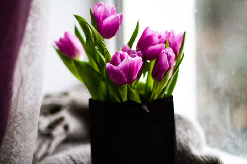 Beautiful arrangement of purple tulips in a vase by a window, perfect for spring d&eacute;cor.