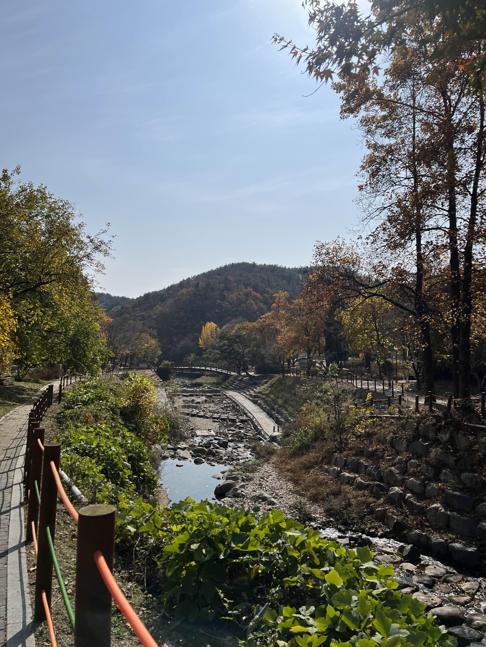 단풍명소 용문사