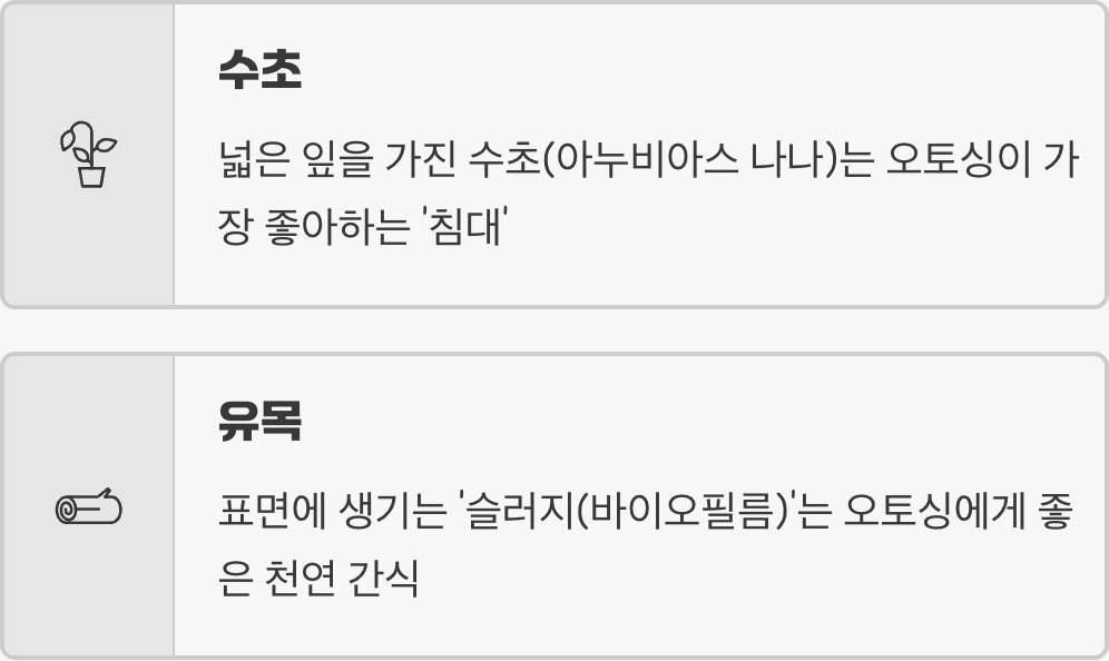 최고의 보금자리, '수초'와 '유목'