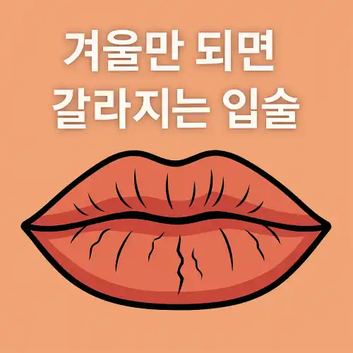 갈라진 입술 이미지 위에 “겨울만 되면 갈라지는 입술”이라는 문구가 쓰여 있는 그림