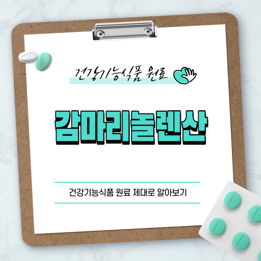 감마리놀렌산