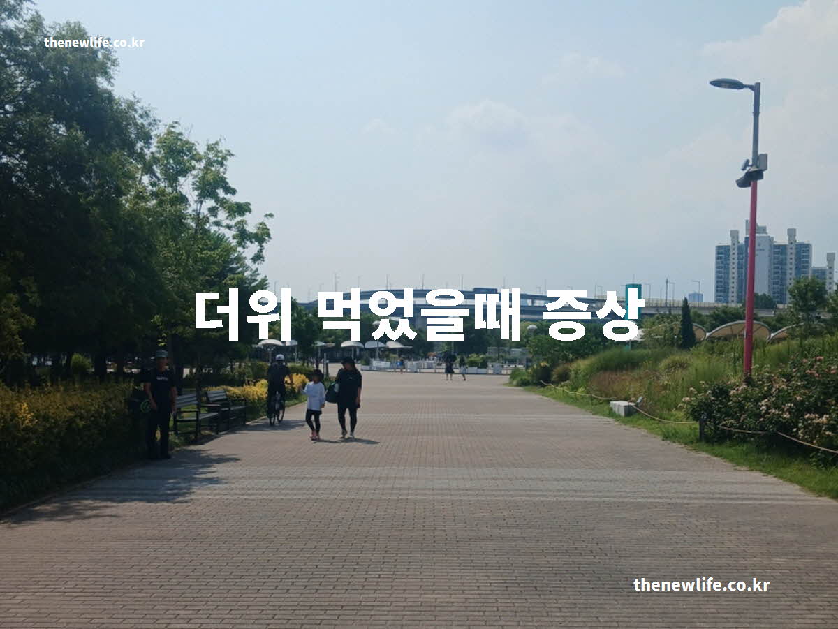 더위 먹었을때 증상 대표 실사진
