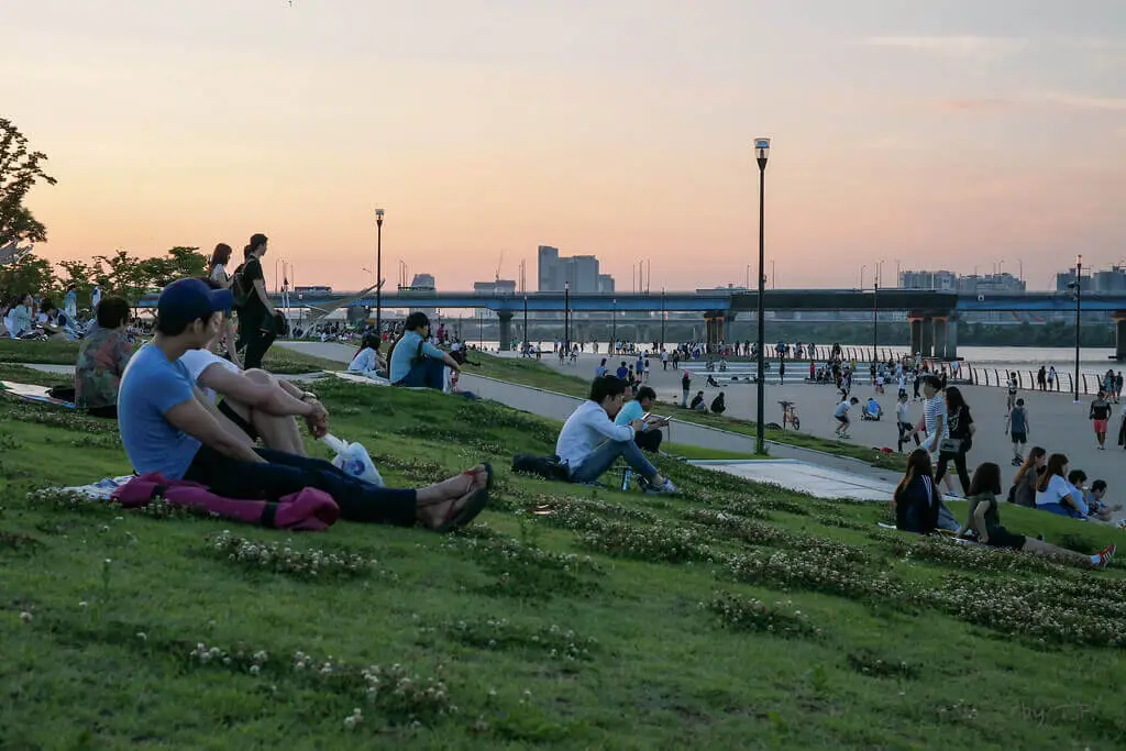 2024-여의도-벚꽃축제-팁2