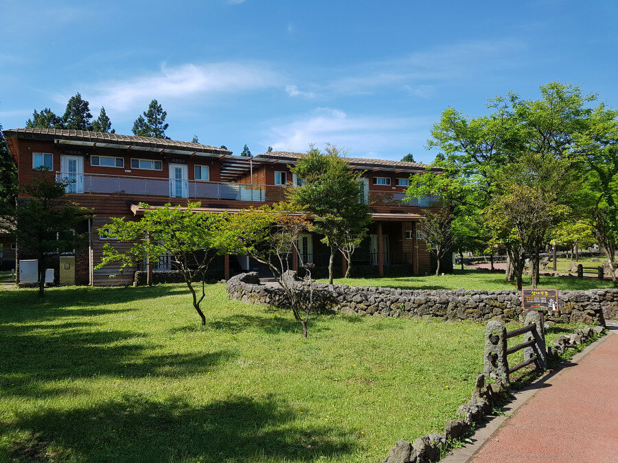 제주 붉은오름 자연휴양림 숲속야영장