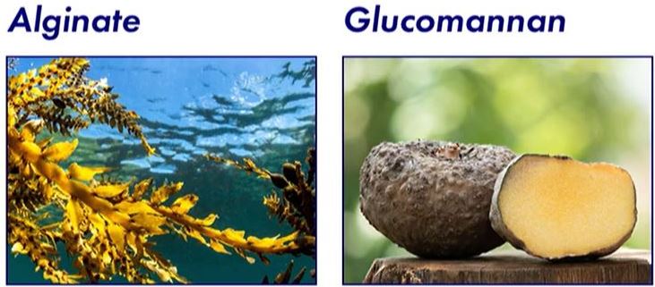 듀오렉신-나비정-효과