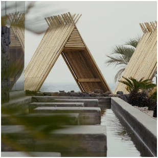 제주도 코스모스, 한림에 위치한 웨이뷰 코스모스 카페 축제