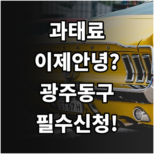 광주 동구 주정차 단속 알림 문자 서..