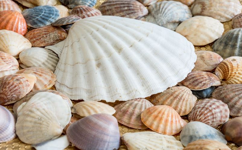 당뇨에 좋은 음식 과일 혈당지수(GI) 꼭 확인하세요