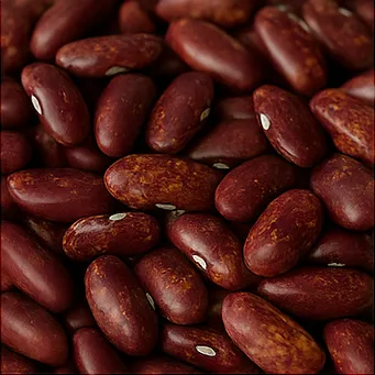 알부민의 효능11