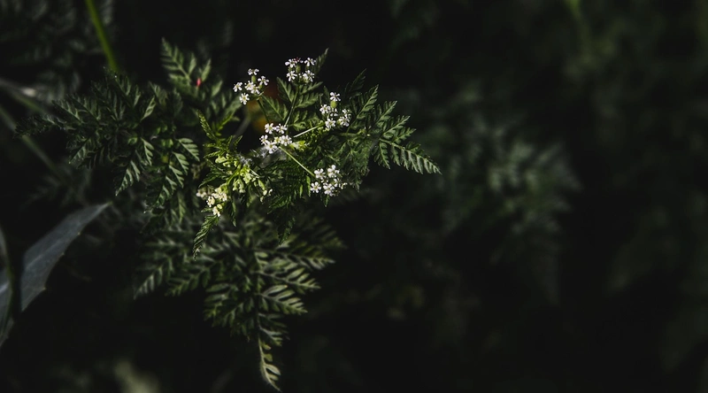 공장 바닥 에폭시