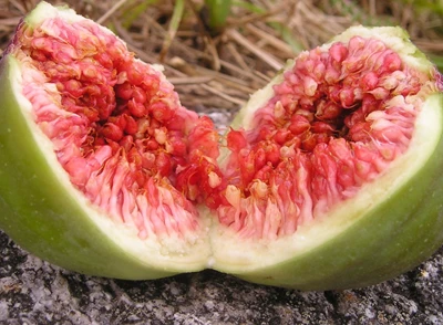 무화과가 주는 건강 선물