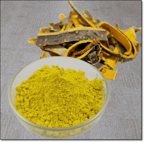 베르베린 보충제와 황련