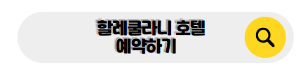 하와이 신혼여행