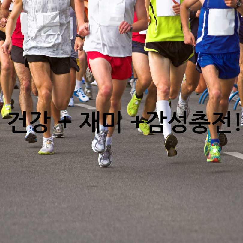 2025 산리오 마라톤 사전접수 꿀팁