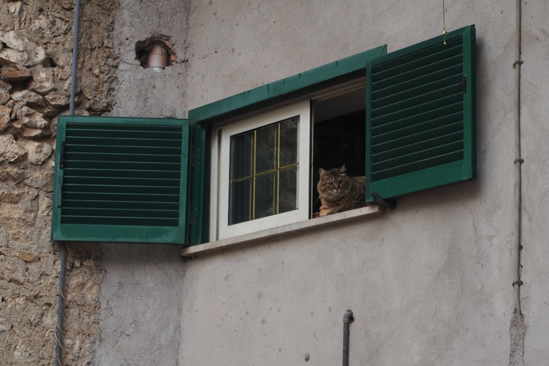 Landlord