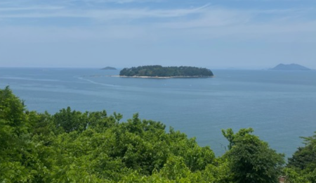 제주속으로 렌트카 가격비교사이트 체크사항