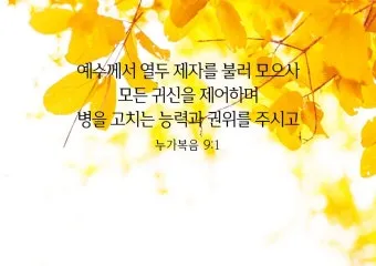 매일성경묵상과 사명(누가복음 10장 1-24절) 칠십 인의 제자를 파송하신 예수님_17