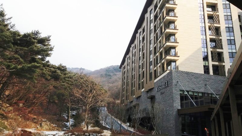 ์ ์ฒ ๋ฆฌ์๋ฆฌ์กฐํธ