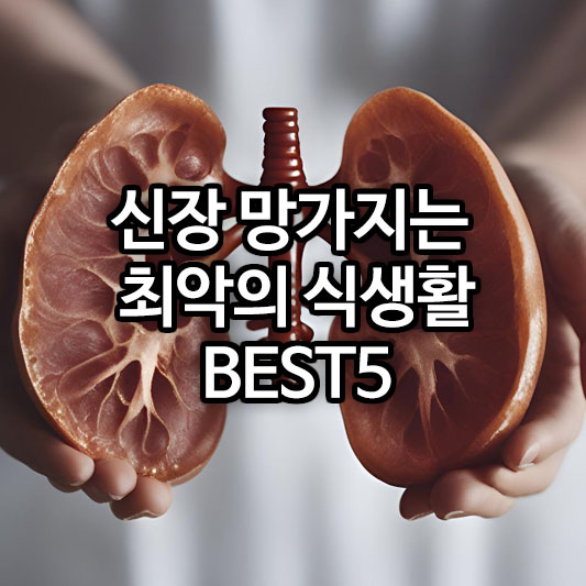 신장 망가지는 최악의 식생활 BEST5