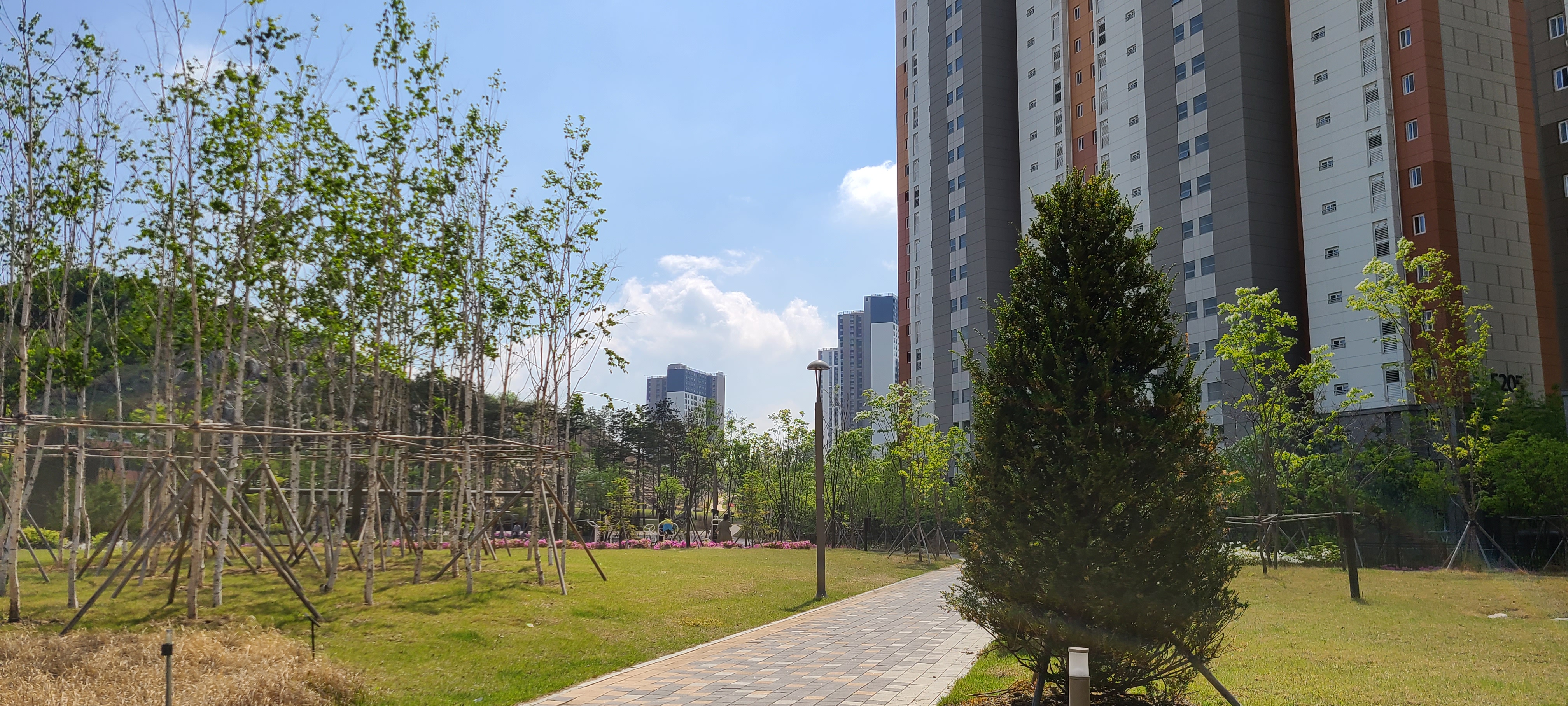 다산신도시중앙공원