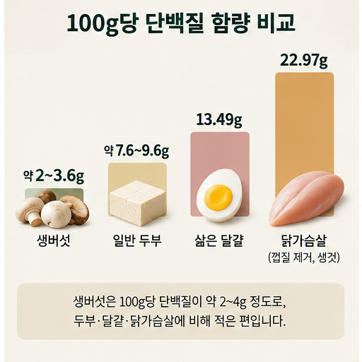 버섯 두부 삶은 달걀 닭가슴살 100g당 단백질 함량을 비교한 막대그래프