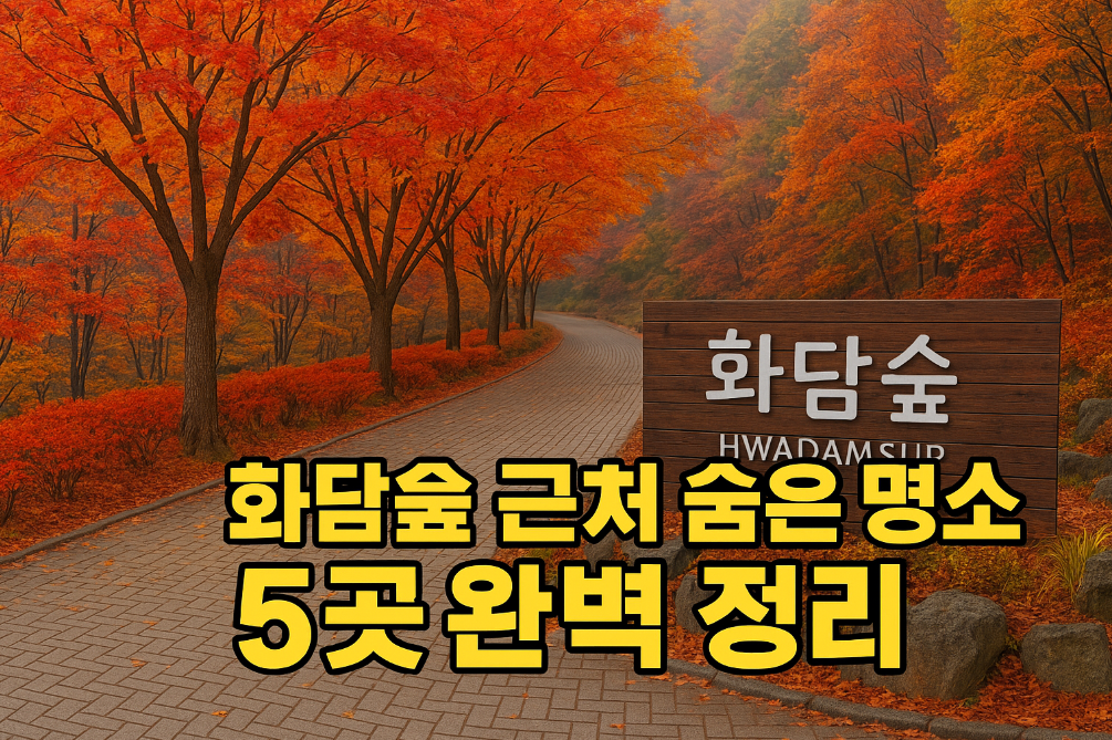 화담숲 근처 숨은 명소 5곳 완벽 정리