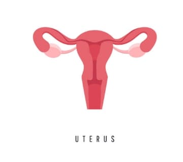 자궁근종 의심해봐야 5가지 증상 한국여성 절반이 가지고 있는 질병