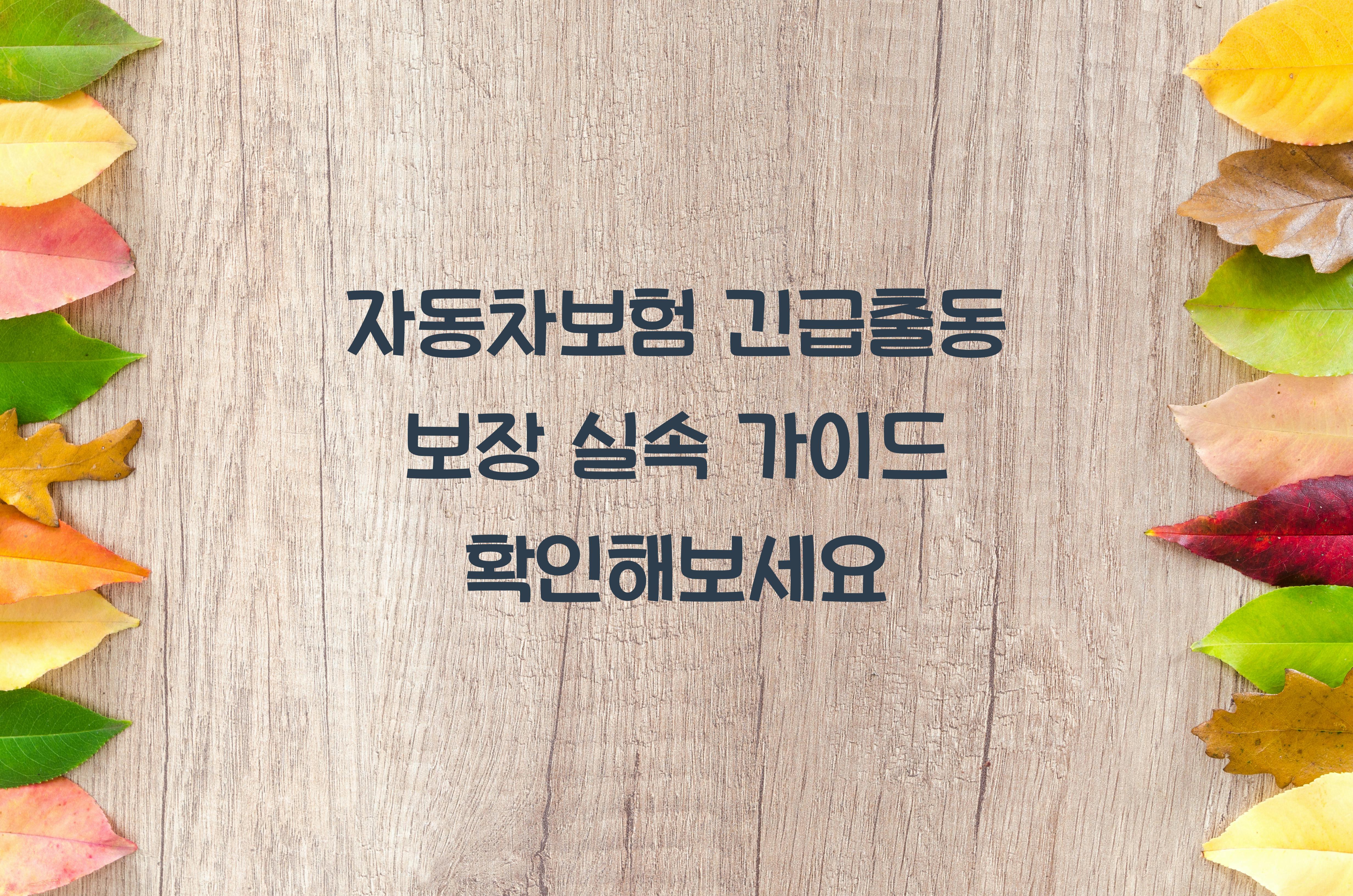 자동차보험 긴급출동 보장