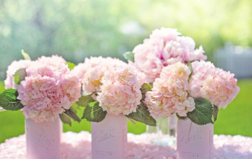 부산 태종대 수국축제