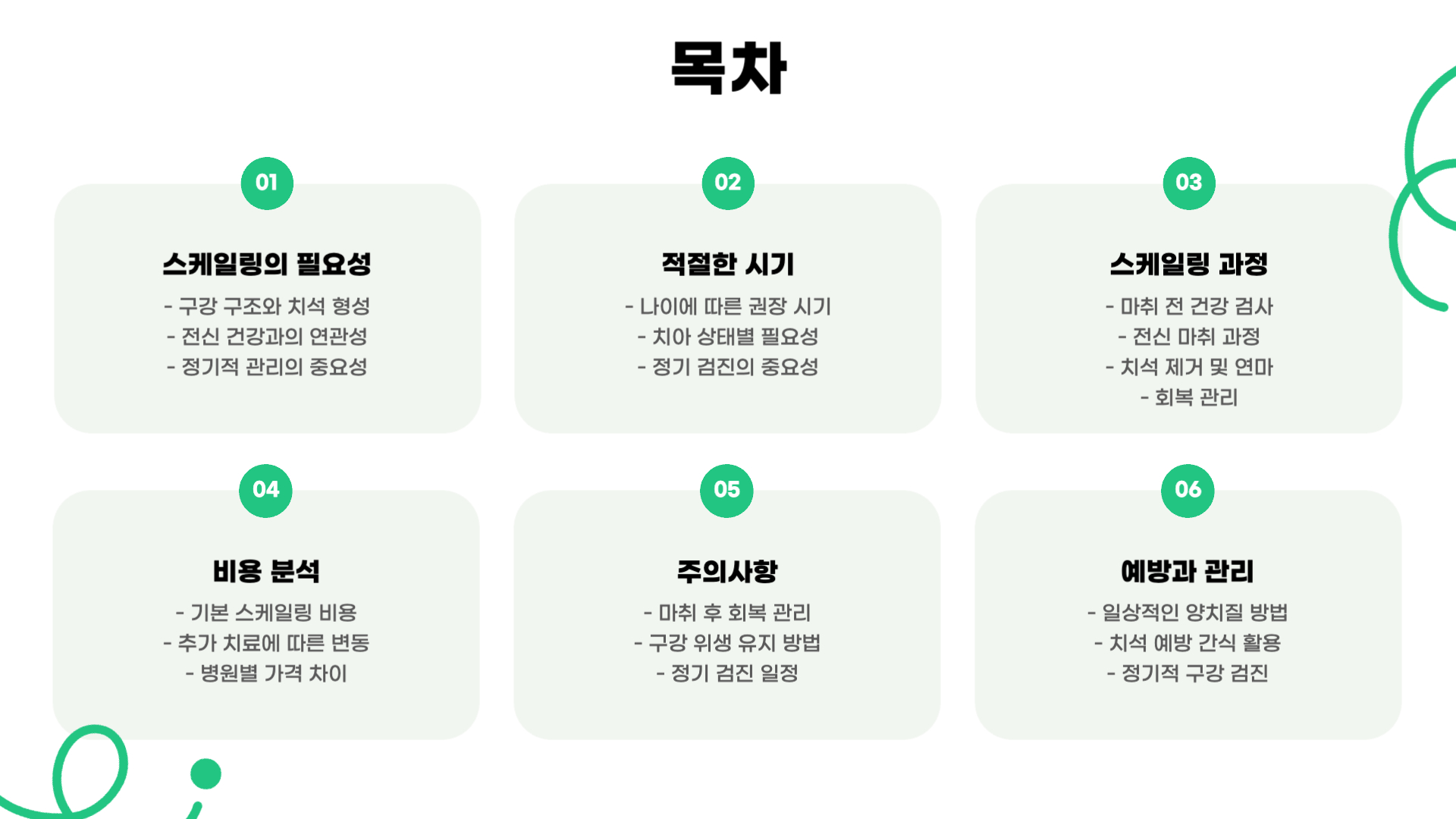 강아지 스케일링 주기 비용