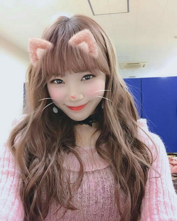 김채원 사진 모음 김채원 사진 모음