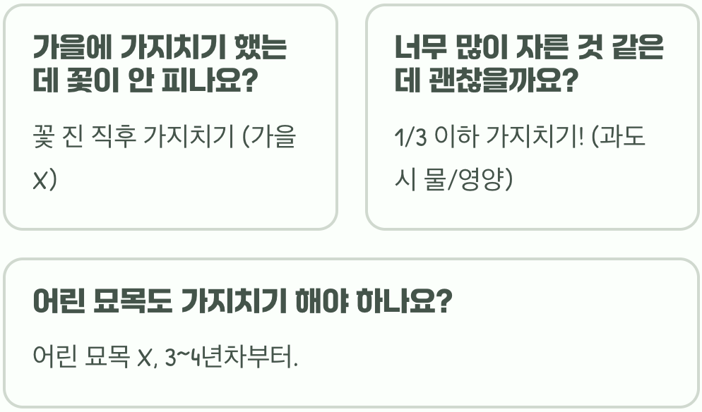 내년에도 풍성하게, 동백꽃 가지치기 최적 시기와 올바른 방법