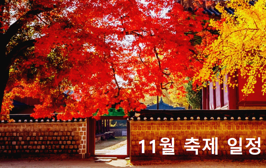 11월축제