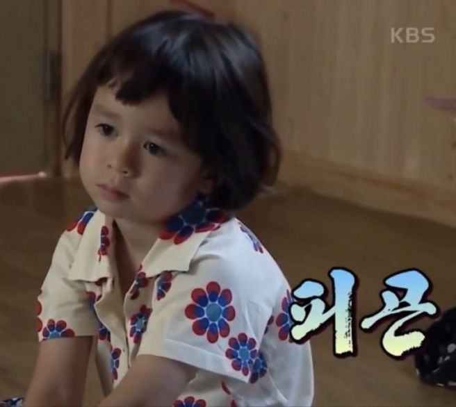 윌리엄 해밍턴 프로필