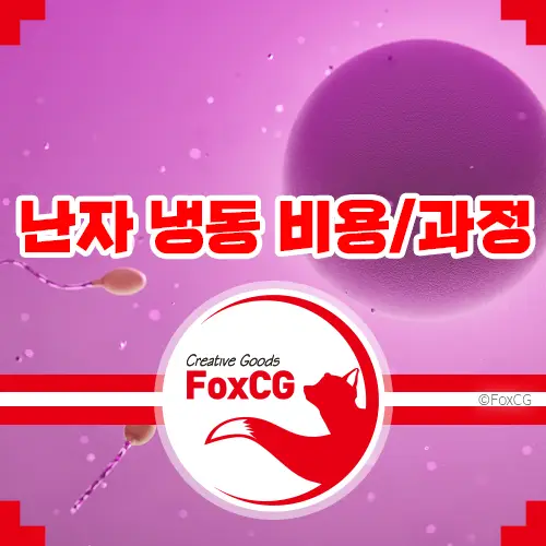 난자 냉동 비용/과정 알아보기