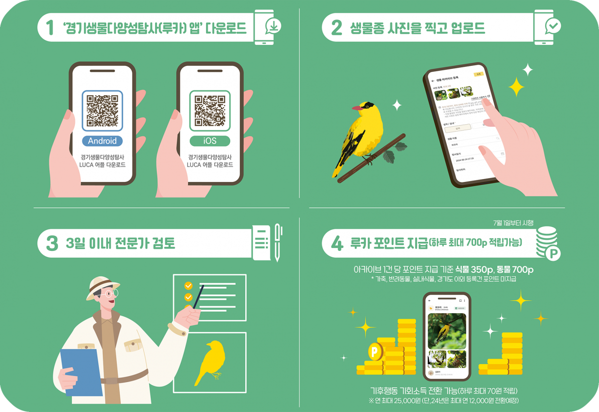 루카앱-사용방법