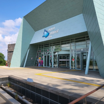 제주도에서 비 오는 날 갈만한 곳 5곳