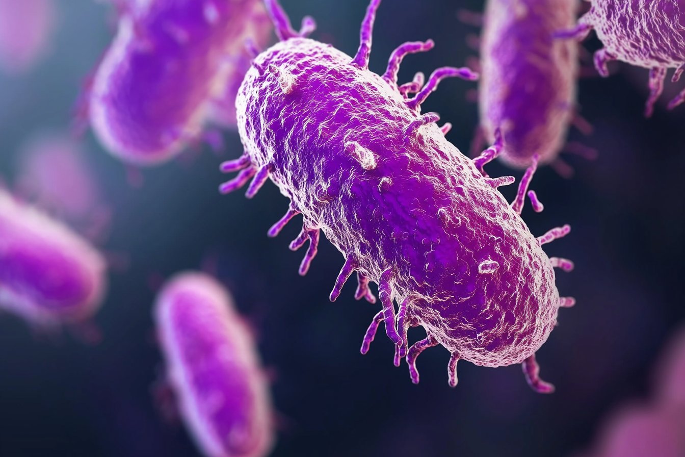 bacteria, microscopic photograph