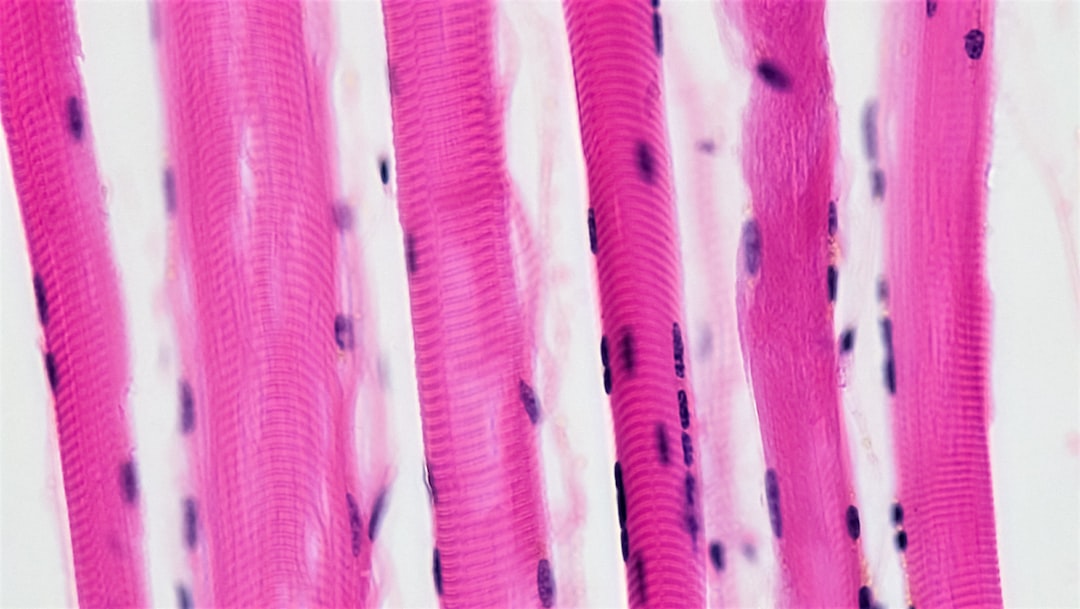 Collagen
