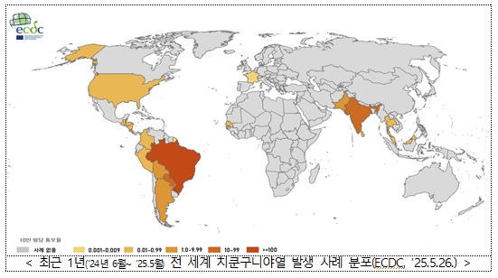 치쿤구니야열병