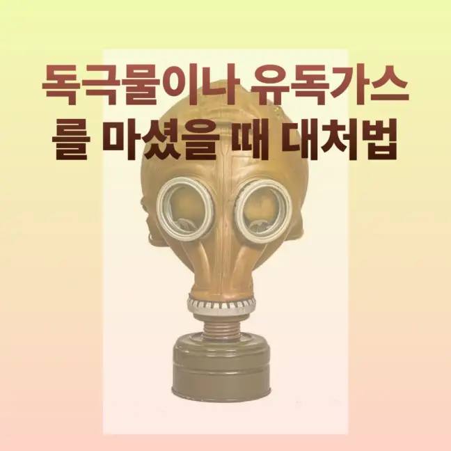 독극물이나 유독가스를 마셨을 때 대처법