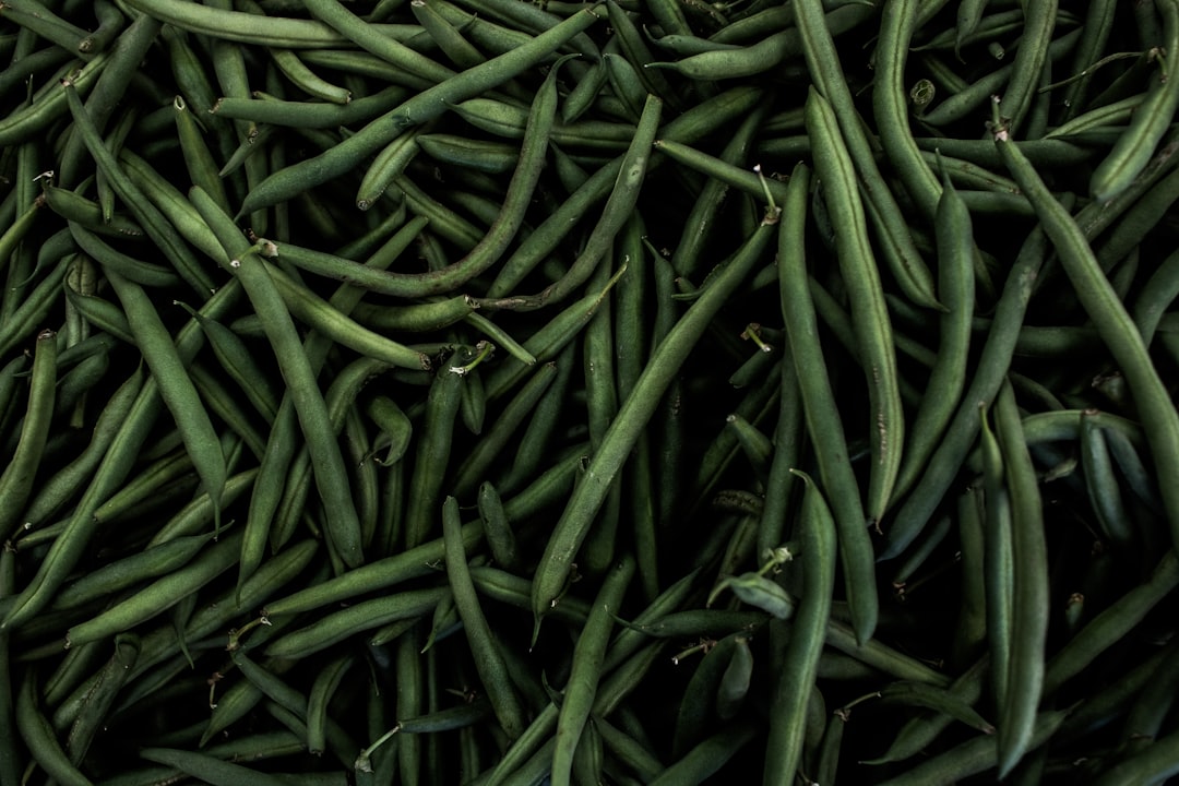 Beans
