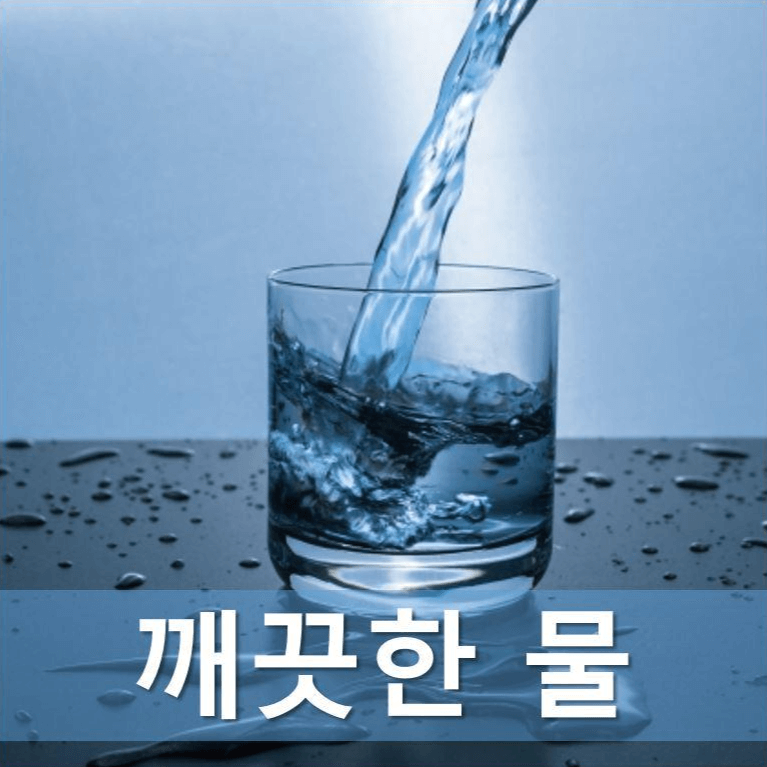 다이어트의 성공에