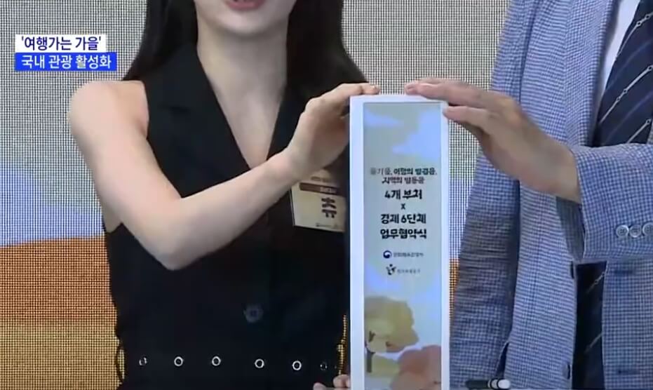 국내 관광 활성화