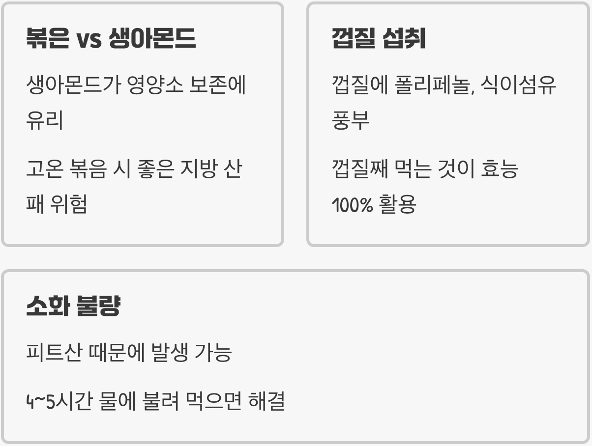 생아몬드 효능 A to Z (다이어트, 피부, 건강 총정리)