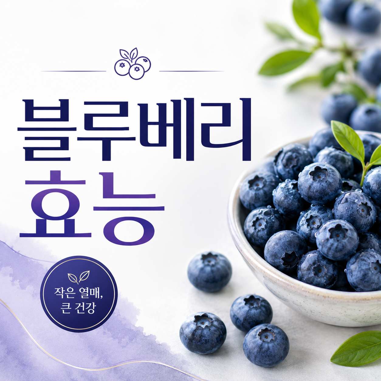 블루베리 효능