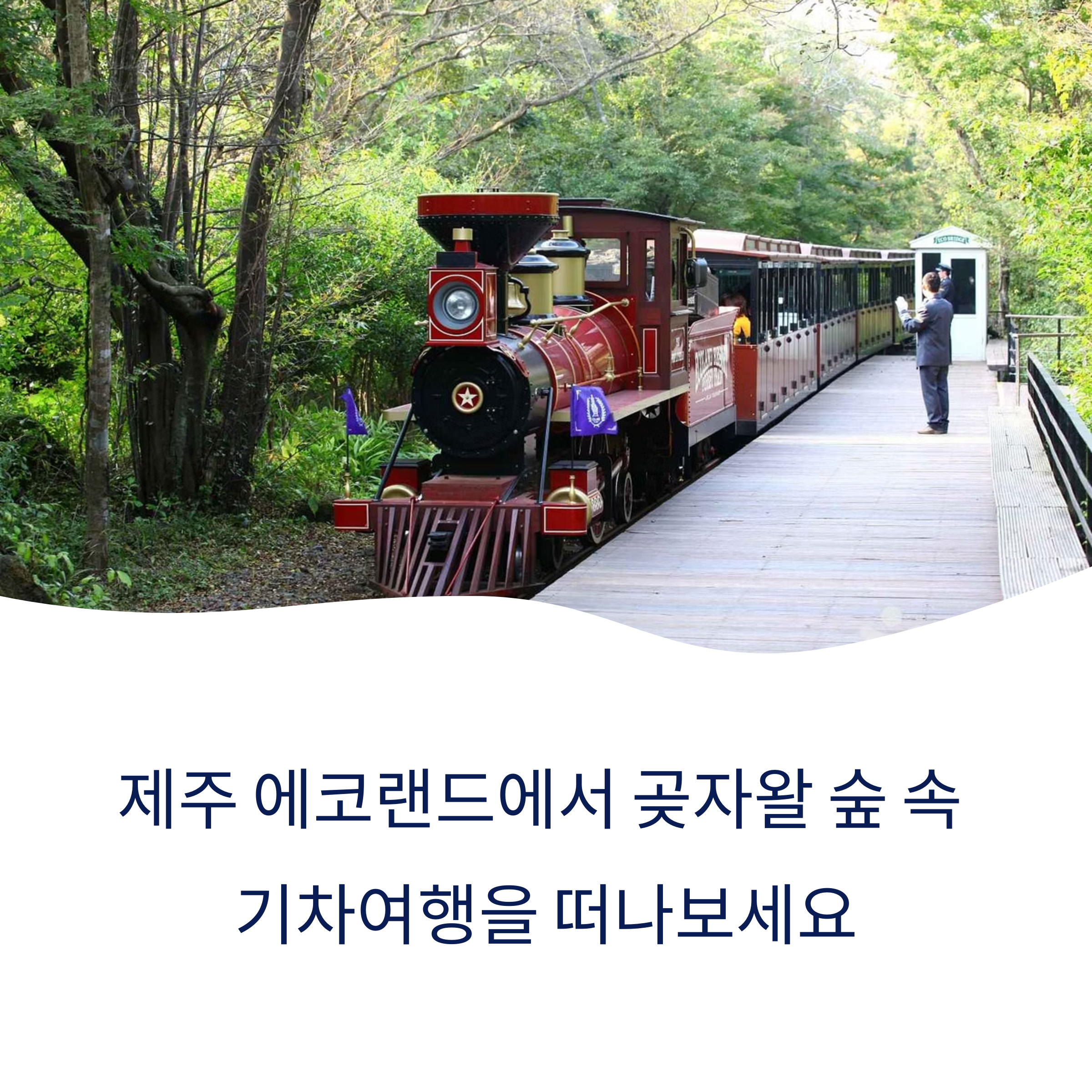 제주돌문화공원 주변 여행지