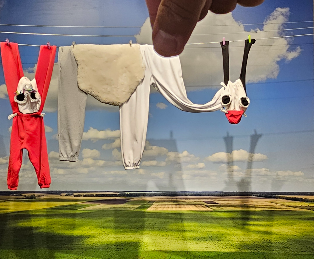 아쿠아플라넷 여수 헬가 스텐첼 특별전