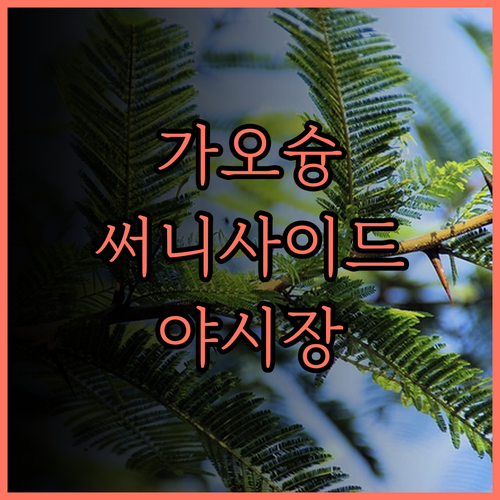 Sunnyside Hotel, 가오슝